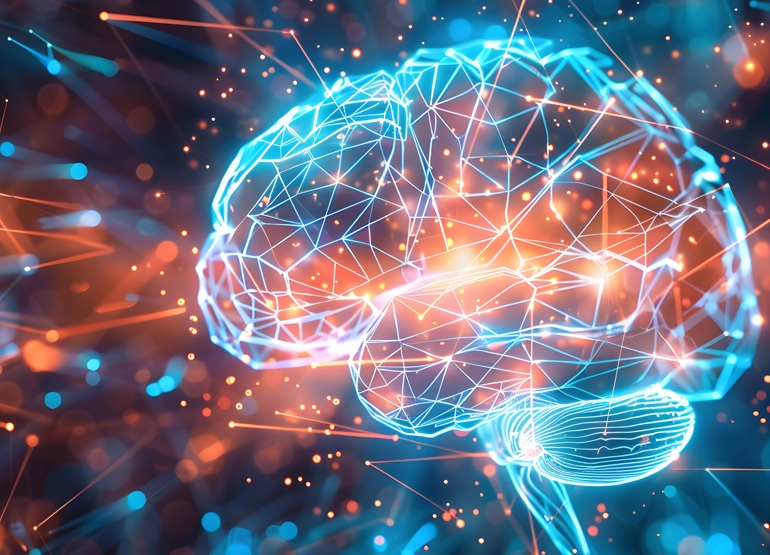 Les interactions compétitives, autant que coopératives, sont essentielles pour comprendre la dynamique du cerveau humain (Visuel Adobe Stock 869130530)