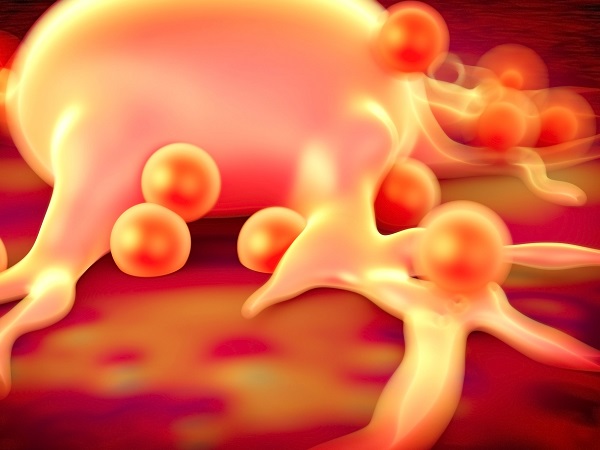 Sans cette protéine de signalisation « PGRMC2 », le corps ne sait plus gérer le glucose et l'insuline. Sans cette protéine de signalisation « PGRMC2 », le corps ne sait plus gérer le glucose et l'insuline.