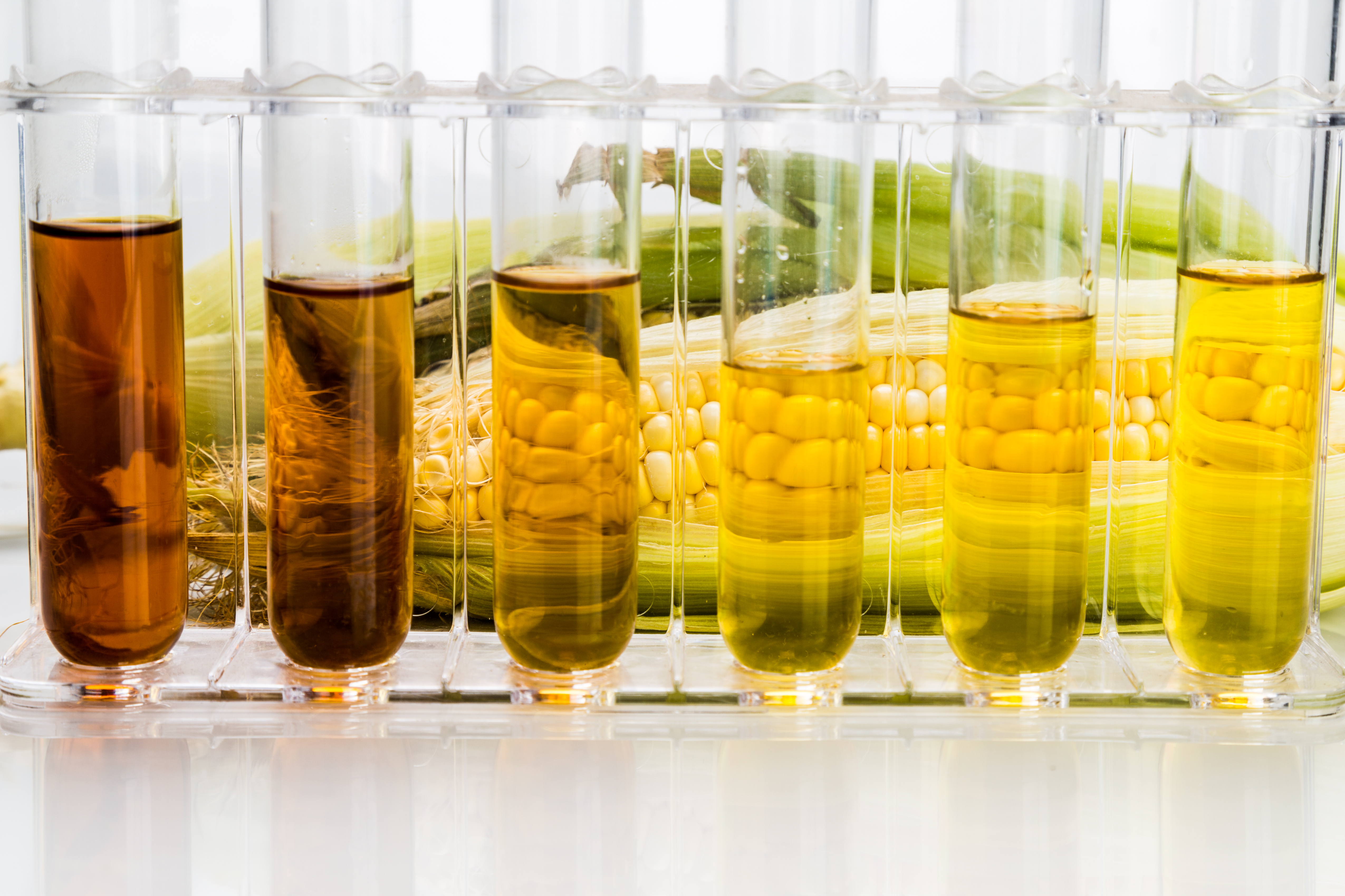 Les personnes qui consomment trop d'aliments transformés, consomment aussi trop de sirop de maïs à haute teneur en fructose, et sont donc à risque accru de stéatose hépatique non alcoolique (Visuel Adobe Stock 92904091) Les personnes qui consomment trop d'aliments transformés, consomment aussi trop de sirop de maïs à haute teneur en fructose, et sont donc à risque accru de stéatose hépatique non alcoolique (Visuel Adobe Stock 92904091)