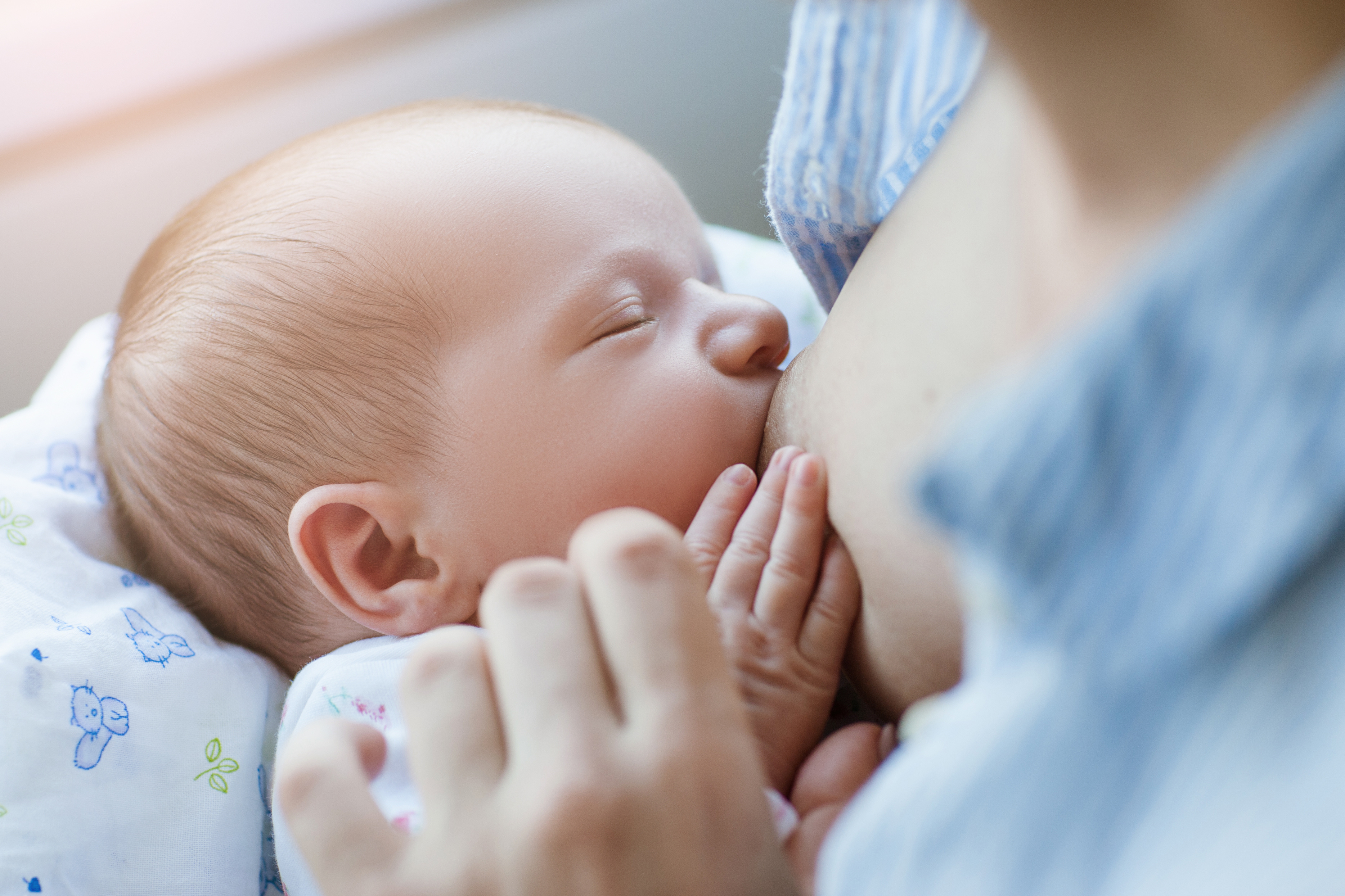 On rappellera que l’infection COVID-19 chez la mère ne doit pas être un obstacle à l’allaitement (Visuel Adobe Stock 185080496)