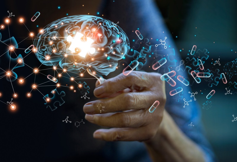 Une transition entre 2 &eacute;tats distincts des microglies, les cellules immunitaires du cerveau, constitue un point de bascule critique de la progression de la pathologie amylo&iuml;de vers la neurod&eacute;g&eacute;n&eacute;rescence et la d&eacute;mence (Visuel Adobe Stock 483897781)