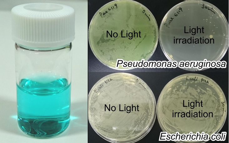 Cette nouvelle approche consiste à apporter directement à la bactérie un antimicrobien en piratant son mécanisme interne d'acquisition du fer dont elle a besoin pour survivre.