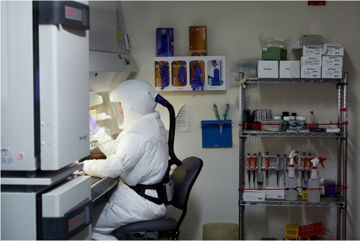 Cet anticorps protège contre un large éventail de variantes du virus SARS-CoV-2 responsable de COVID-19 en ciblant un segment clé de la protéine de pointe du virus qui change peu d'un variant à l'autre (Visuel Matt Miller/Washington University). Cet anticorps protège contre un large éventail de variantes du virus SARS-CoV-2 responsable de COVID-19 en ciblant un segment clé de la protéine de pointe du virus qui change peu d'un variant à l'autre (Visuel Matt Miller/Washington University).
