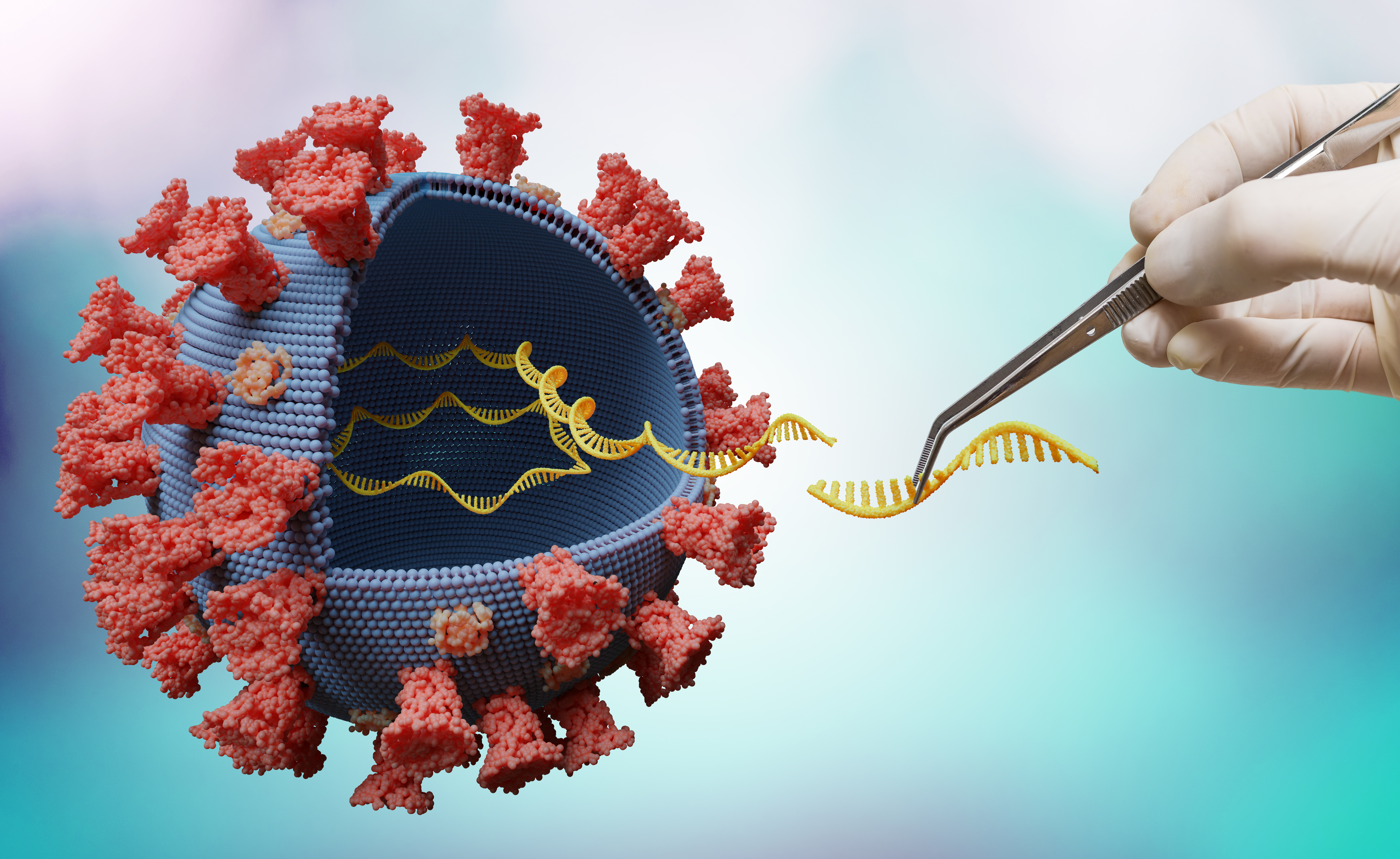L’édition du génome délivre une enzyme tueuse de code génétique au coronavirus pour l’empêcher de se répliquer (Visuel Adobestock_330686823_1) L’édition du génome délivre une enzyme tueuse de code génétique au coronavirus pour l’empêcher de se répliquer (Visuel Adobestock_330686823_1)