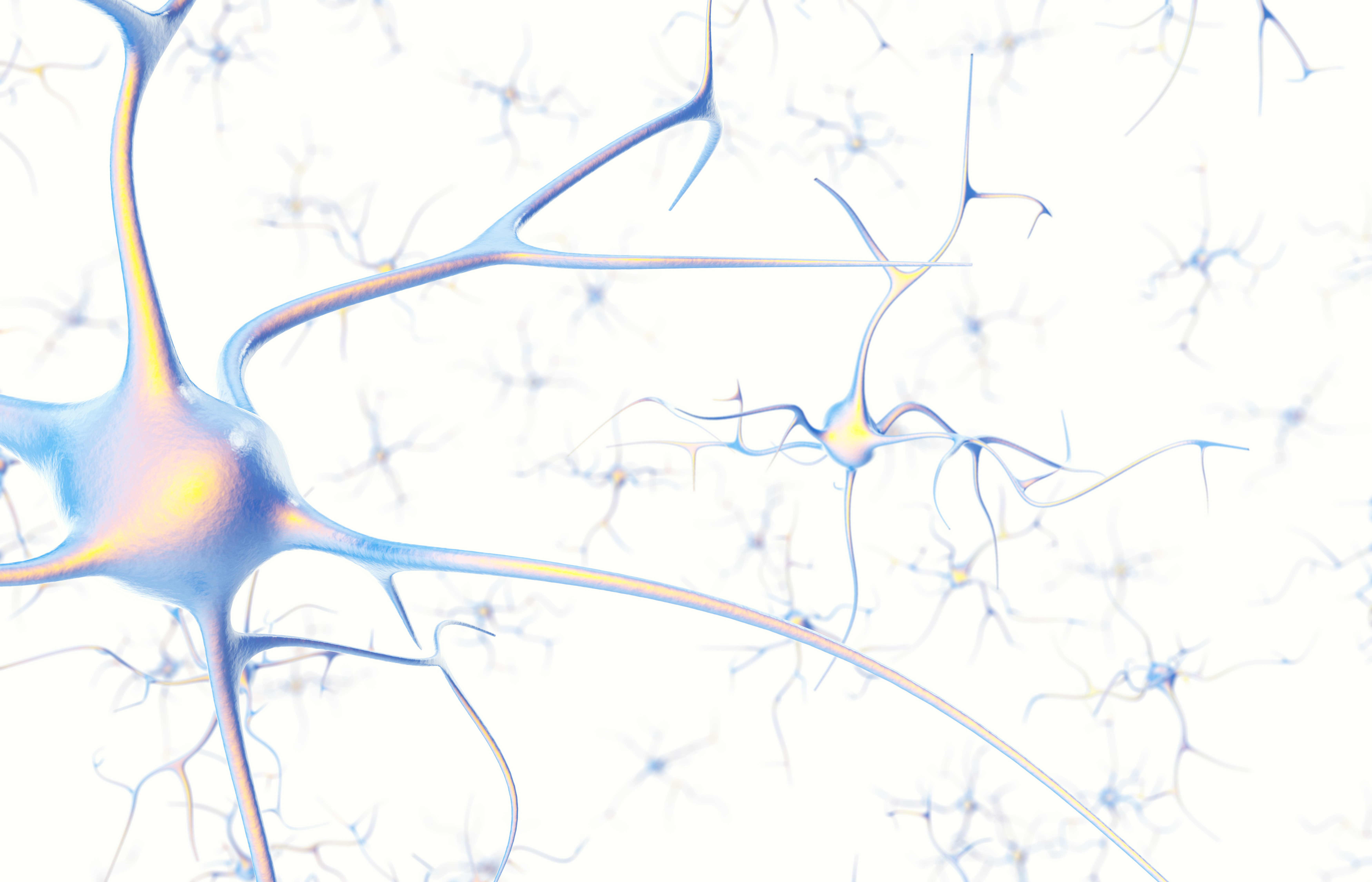 L'étude identifie un lien entre la dépression majeure et un tout petit groupe de cellules du cerveau qui soutiennent la fonction neuronale, les astrocytes (Visuel Adobe Stock 121451850)