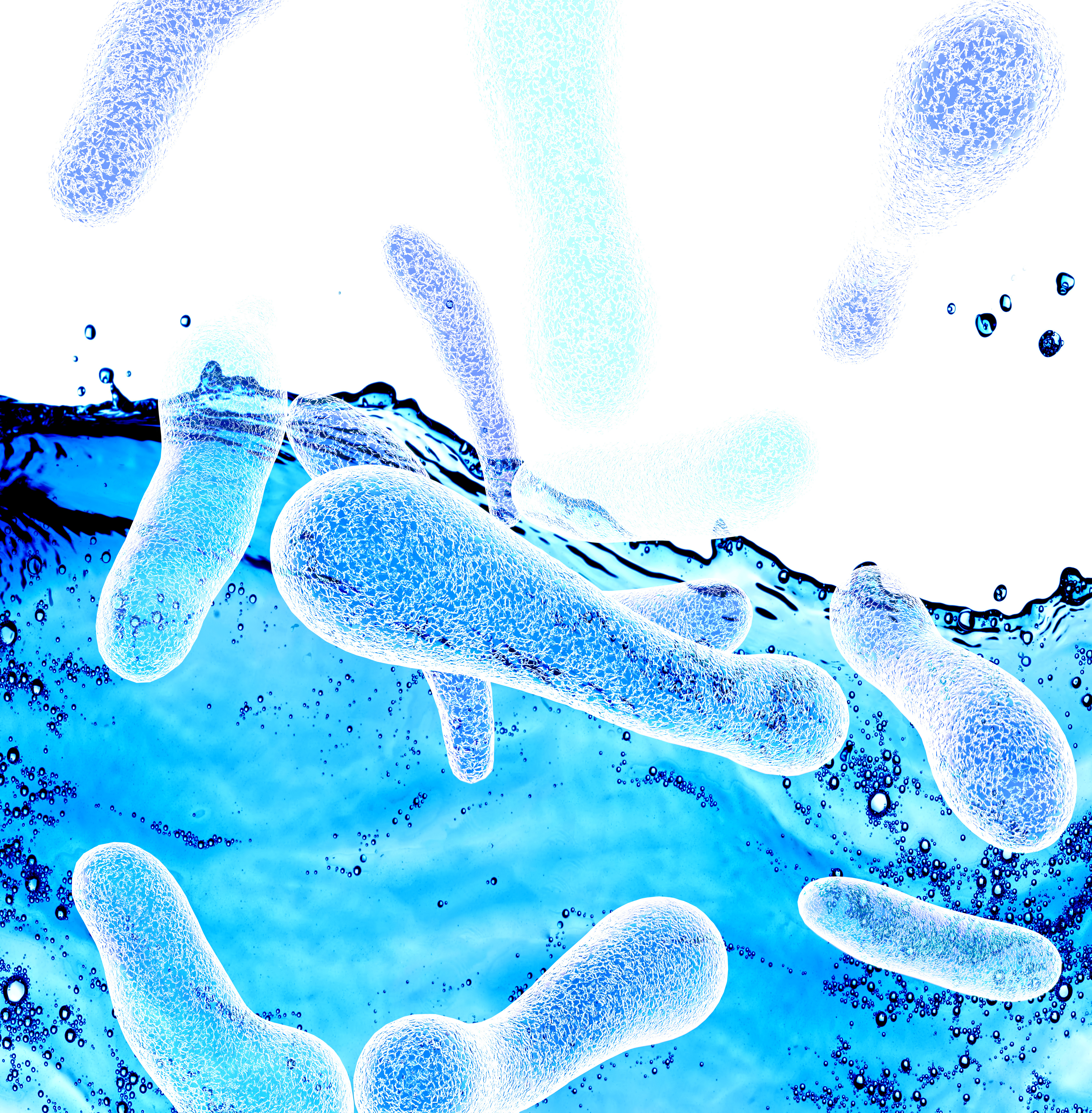 Certaines bactéries du microbiote intestinal peuvent s'accumuler dans les tumeurs et améliorer l'efficacité de l'immunothérapie. Certaines bactéries du microbiote intestinal peuvent s'accumuler dans les tumeurs et améliorer l'efficacité de l'immunothérapie.