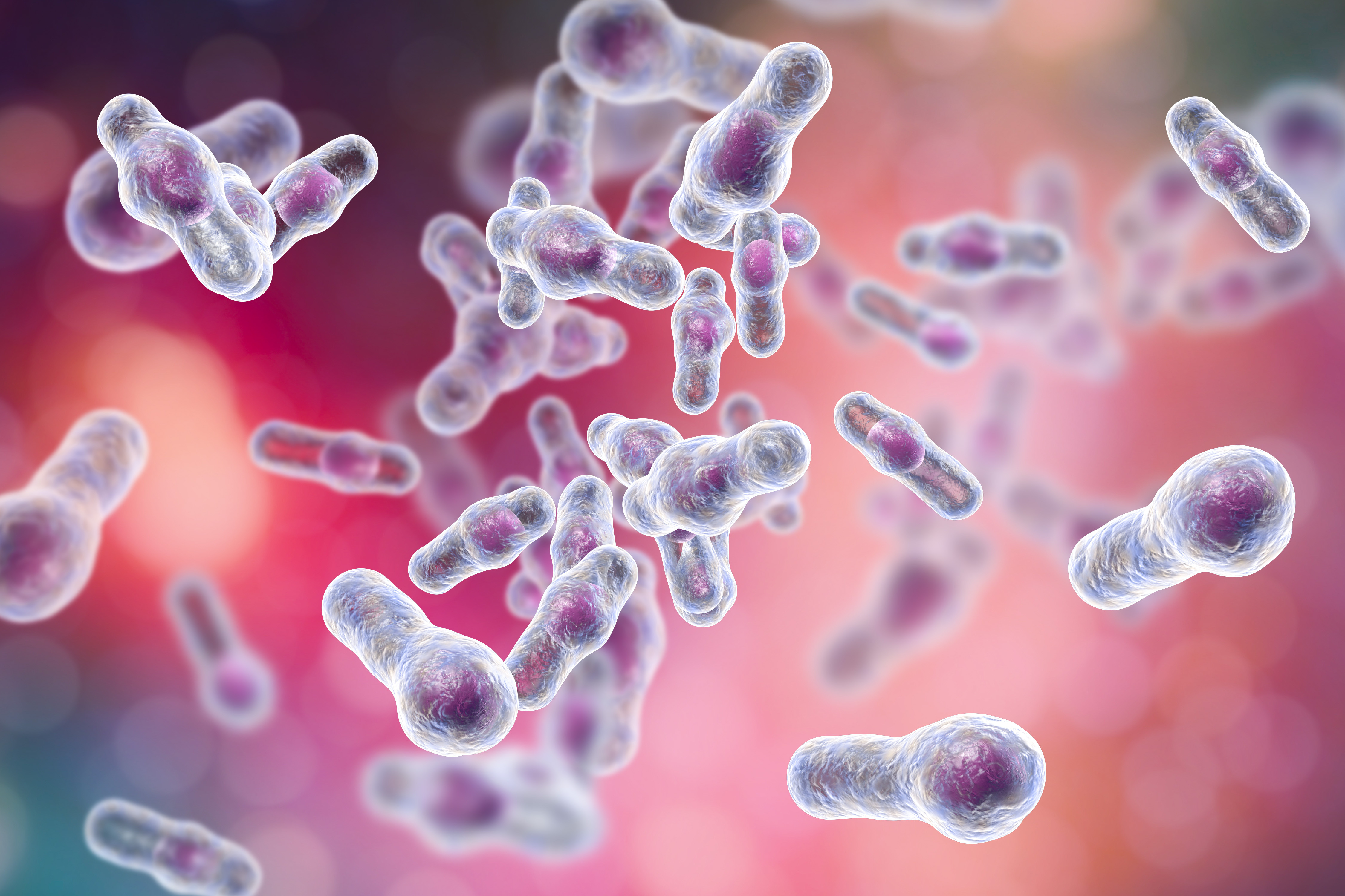 Cette thérapie de nouvelle génération est basée sur des leurres imitant le récepteur humain de la toxine B de C. difficile (Visuel Adobe stock 186445101) Cette thérapie de nouvelle génération est basée sur des leurres imitant le récepteur humain de la toxine B de C. difficile (Visuel Adobe stock 186445101)