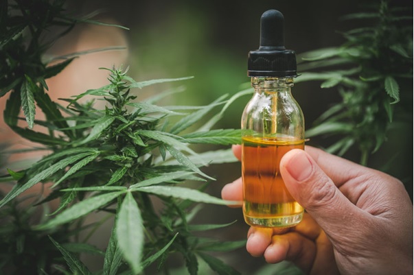 Des astuces pour choisir le meilleur produit CBD (Visuel EREFERER)