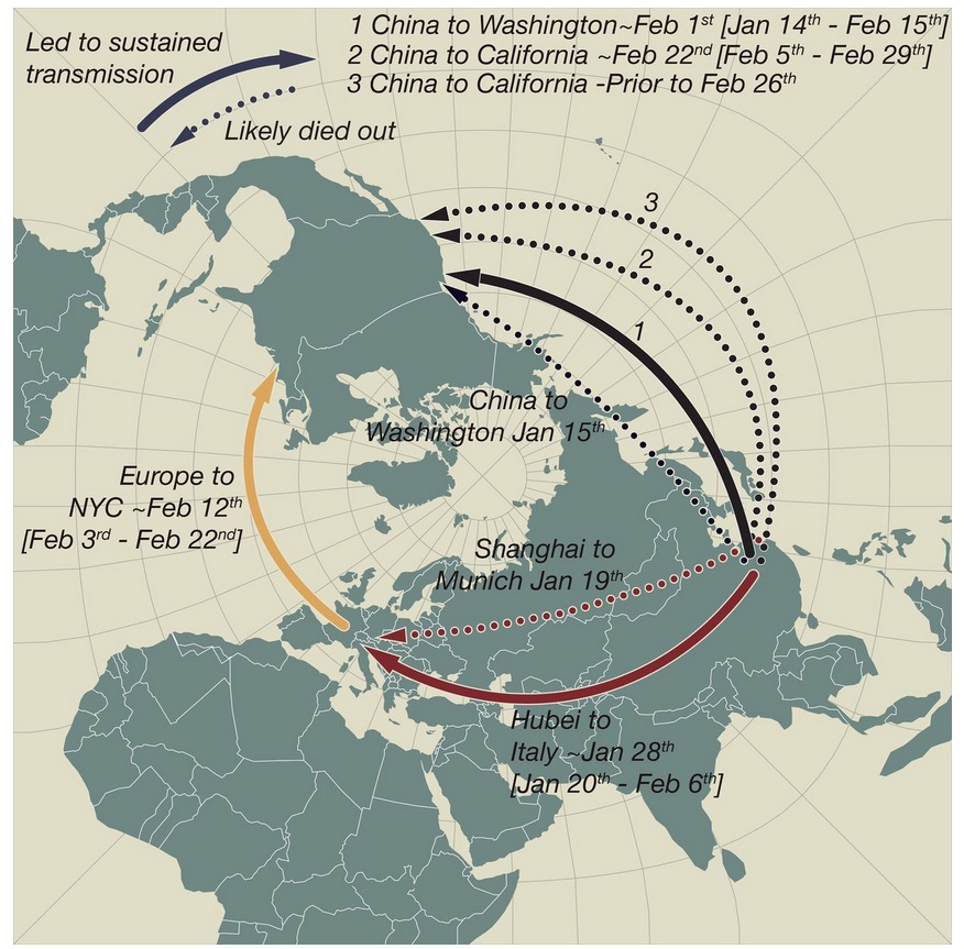 L’absence de régulation des voyages au début de l’épidémie a ouvert une brèche qui a permis au virus de déclencher des flambées majeures en Europe et en Amérique du Nord (.Visuel Andrew Rambaut / Université d'Édimbourg et Jeffrey Joy / Université de la Colombie-Britannique) L’absence de régulation des voyages au début de l’épidémie a ouvert une brèche qui a permis au virus de déclencher des flambées majeures en Europe et en Amérique du Nord (.Visuel Andrew Rambaut / Université d'Édimbourg et Jeffrey Joy / Université de la Colombie-Britannique)