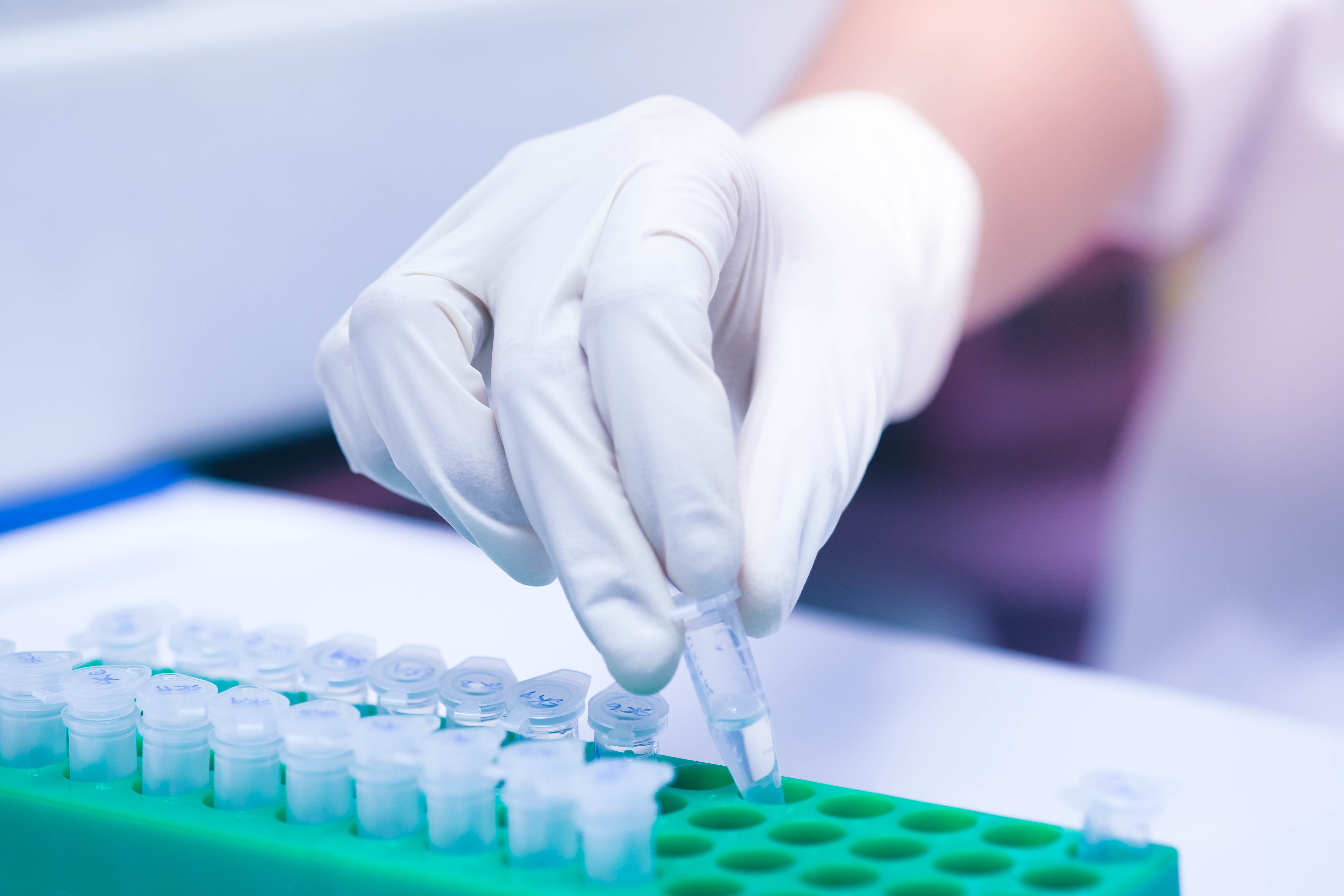 Un ensemble de gènes humains vient d'être identifié, qui combattent l'infection par le SRAS-CoV-2 (Visuel Adobe Stock 293181138) Un ensemble de gènes humains vient d'être identifié, qui combattent l'infection par le SRAS-CoV-2 (Visuel Adobe Stock 293181138).