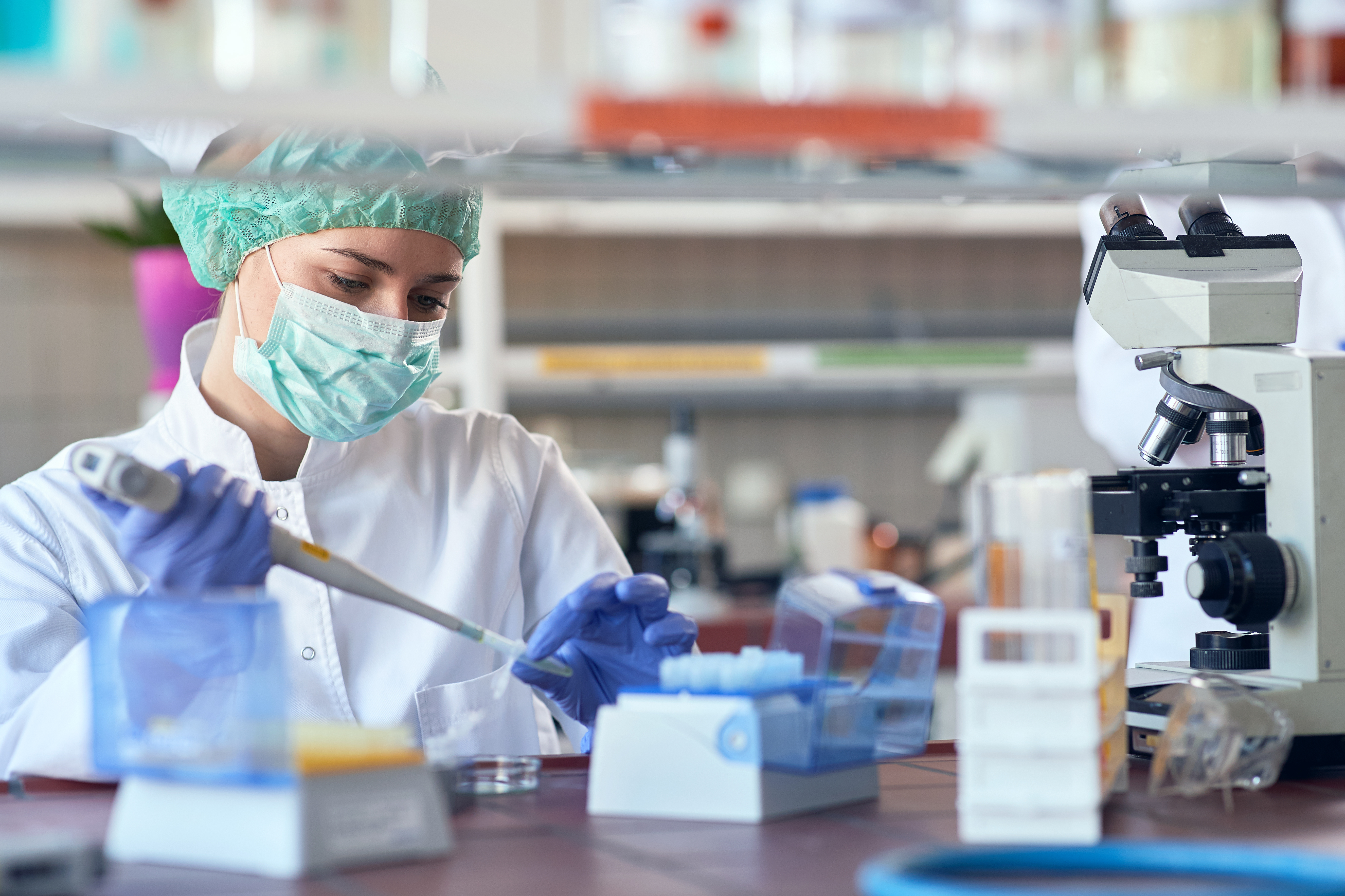Une seule dose de cet antiparasitaire bien connu, l'ivermectine, éradique, in vitro, tout le matériel génétique du virus en 48 heures Une seule dose de cet antiparasitaire bien connu, l'ivermectine, éradique, in vitro, tout le matériel génétique du virus en 48 heures