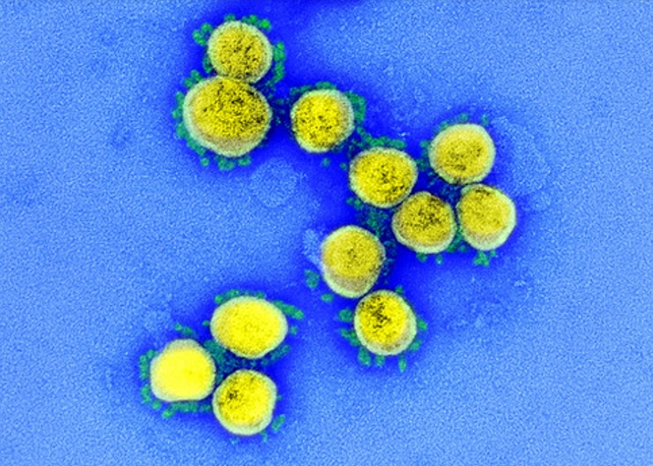 L’analyse de génomes du coronavirus permet de retracer, à travers ses mutations, une partie de sa propagation 