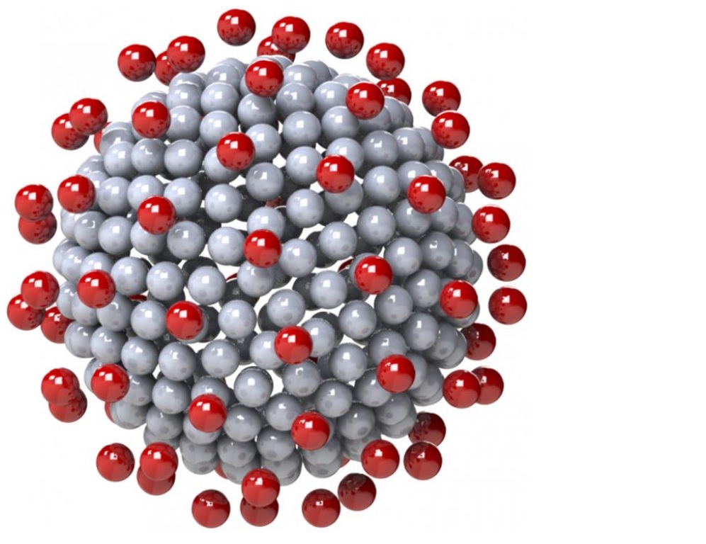 La forme des pointes du virus ou « protéines Spike » contribue à sa capacité d’infection (Visuel Physics of Fluids)