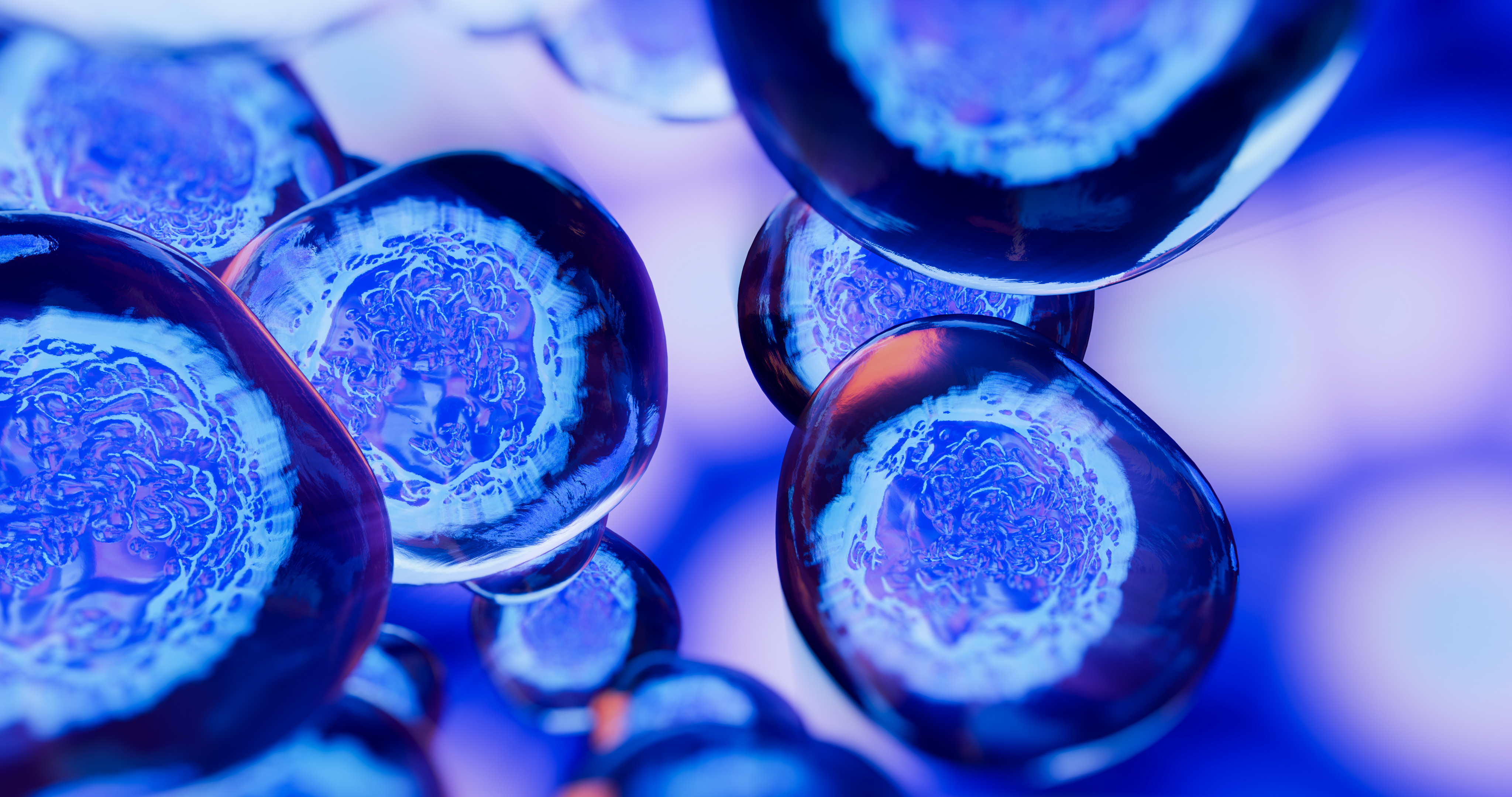 Cibler 2 voies biologiques à la fois induit 1 effet synergique et promet des thérapies anti-âge encore plus efficaces Cibler 2 voies biologiques à la fois induit 1 effet synergique et promet des thérapies anti-âge encore plus efficaces