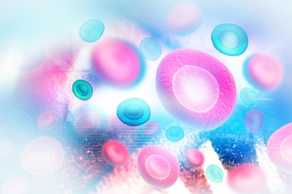 Comprendre comment les cellules se nourrissent, c’est comprendre la vie (Visuel Fotolia 113416068) Comprendre comment les cellules se nourrissent, c’est comprendre la vie (Visuel Fotolia 113416068)