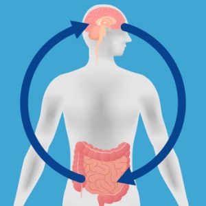 Le lien entre notre intestin ou plutôt notre flore intestinale et notre cerveau est de mieux en mieux documenté : on l’appelle l'axe microbiote-intestin-cerveau
