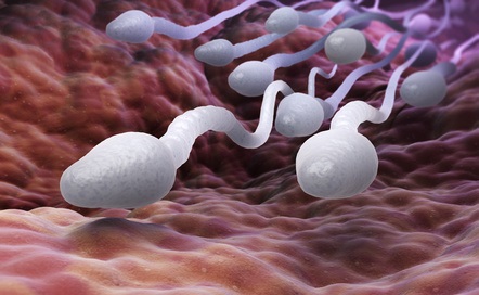 Analyser l’ARN du sperme du père peut permettre de prédire la santé de ses futurs enfants