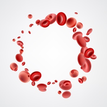 Ces globules rouges artificiels sont similaires en taille, en forme, en charge et en protéines de surface aux cellules naturelles (Visuel Fotolia-144168805_xs) Ces globules rouges artificiels sont similaires en taille, en forme, en charge et en protéines de surface aux cellules naturelles (Visuel Fotolia-144168805_xs)
