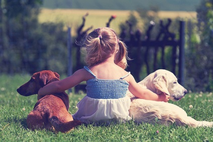 C’est véritablement le développement d’une intuition qui permet aux jeunes enfants, sans indication aucune des parents de comprendre que tout un domaine est la propriété de quelqu'un, et à partir de là de déduire que tout ce qui appartient à ce domaine appartient à cette personne. 