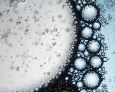 Ces lipides naturels pourraient constituer une thérapie anti-inflammatoire puissante contre les maladies bactériennes et virales. Ces lipides naturels pourraient constituer une thérapie anti-inflammatoire puissante contre les maladies bactériennes et virales.