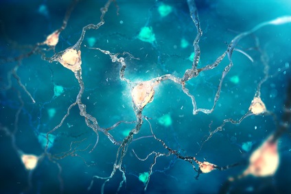 Cette nouvelle piste thérapeutique consiste à cibler les interneurones pour contrer les effets clés de la maladie. Cette nouvelle piste thérapeutique consiste à cibler les interneurones pour contrer les effets clés de la maladie.