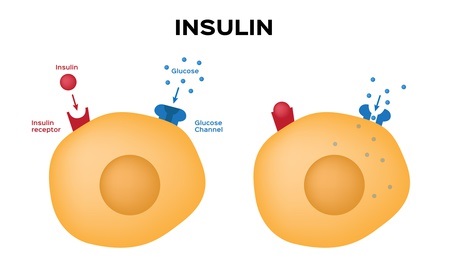 La croissance du cancer dépend considérablement de sa capacité à voler l’énergie aux cellules saines.