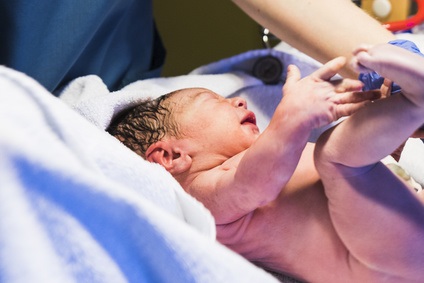 La traite du cordon ombilical semble être sans danger chez les prématurés nés après 28 semaines de grossesse (Visuel Fotolia 199146325)