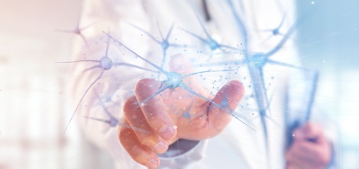 10 pesticides sont identifiés comme toxiques pour les neurones directement impliqués dans la maladie de Parkinson (Visuel Fotolia 204183905) 10 pesticides sont identifiés comme toxiques pour les neurones directement impliqués dans la maladie de Parkinson (Visuel Fotolia 204183905)