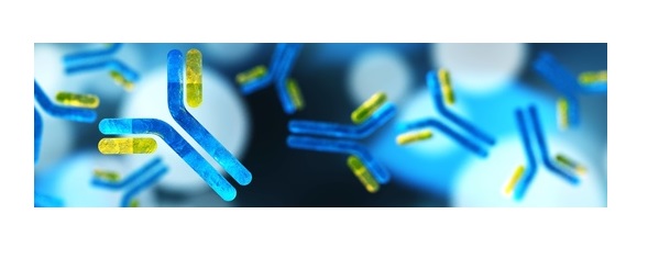 Bientôt, un nouveau gel peptidique contre l'infection et l'inflammation, en particulier dans la cicatrisation des plaies Bientôt, un nouveau gel peptidique contre l'infection et l'inflammation, en particulier dans la cicatrisation des plaies