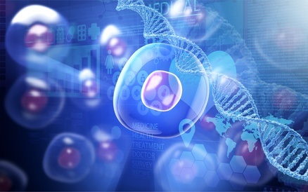 L'hypoxie est un domaine de recherche bien connu en cancérologie, mais l'identification des protéines les plus importantes pour la survie des cellules cancéreuses dans l'hypoxie reste toujours un défi à relever. L'hypoxie est un domaine de recherche bien connu en cancérologie, mais l'identification des protéines les plus importantes pour la survie des cellules cancéreuses dans l'hypoxie reste toujours un défi à relever.