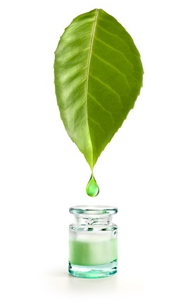 L'épigallocatéchine semble pouvoir restaurer l'activité et l’efficacité de l'aztréonam, un antibiotique couramment utilisé pour traiter les infections causées par la bactérie Pseudomonas aeruginosa L'épigallocatéchine semble pouvoir restaurer l'activité et l’efficacité de l'aztréonam, un antibiotique couramment utilisé pour traiter les infections causées par la bactérie Pseudomonas aeruginosa