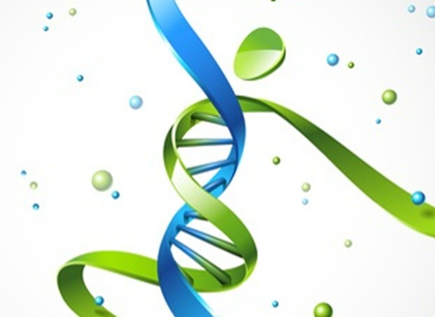 L'étude met en lumière  les disparités en matière de probabilité de décès prématuré, qui reflètent, notamment, d'importantes inégalités d'accès aux soins et technologies de santé (Visuel Fotolia 52681939)