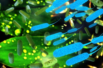 Il est possible, en agissant directement sur le microbiote intestinal, de réduire les allergies alimentaires (Visuel Fotolia 63132145)