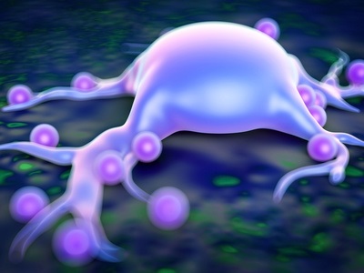 Le médicament réduit considérablement, chez la souris modèle d’obésité, le poids corporel et le taux de cholestérol sanguin et cela sans réduire cependant la prise alimentaire. Le médicament réduit considérablement, chez la souris modèle d’obésité, le poids corporel et le taux de cholestérol sanguin et cela sans réduire cependant la prise alimentaire.