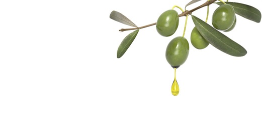 L'étude décrit le rôle clé d’une protéine plasmatique, ApoA-IV qui augmente après la digestion des aliments riches en graisses insaturées, comme l'huile d'olive et est plus active durant le sommeil, et qui prévient le risque d’événement cardiovasculaire.
