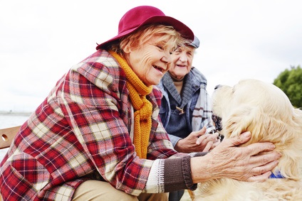 Alors que vivre avec un animal de compagnie apporte de nombreux bénéfices pour la santé, cette équipe de l’Université d'York suggère, cela ne semble pas apporter d'amélioration aux personnes atteintes de troubles de la santé mentale (Visuel Adobe Stock 96580468)