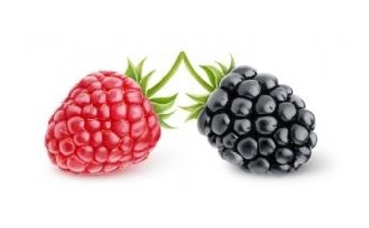 Les framboises noires révèlent un effet anti-inflammatoire efficace contre les allergies cutanées (Visuel Fotolia)