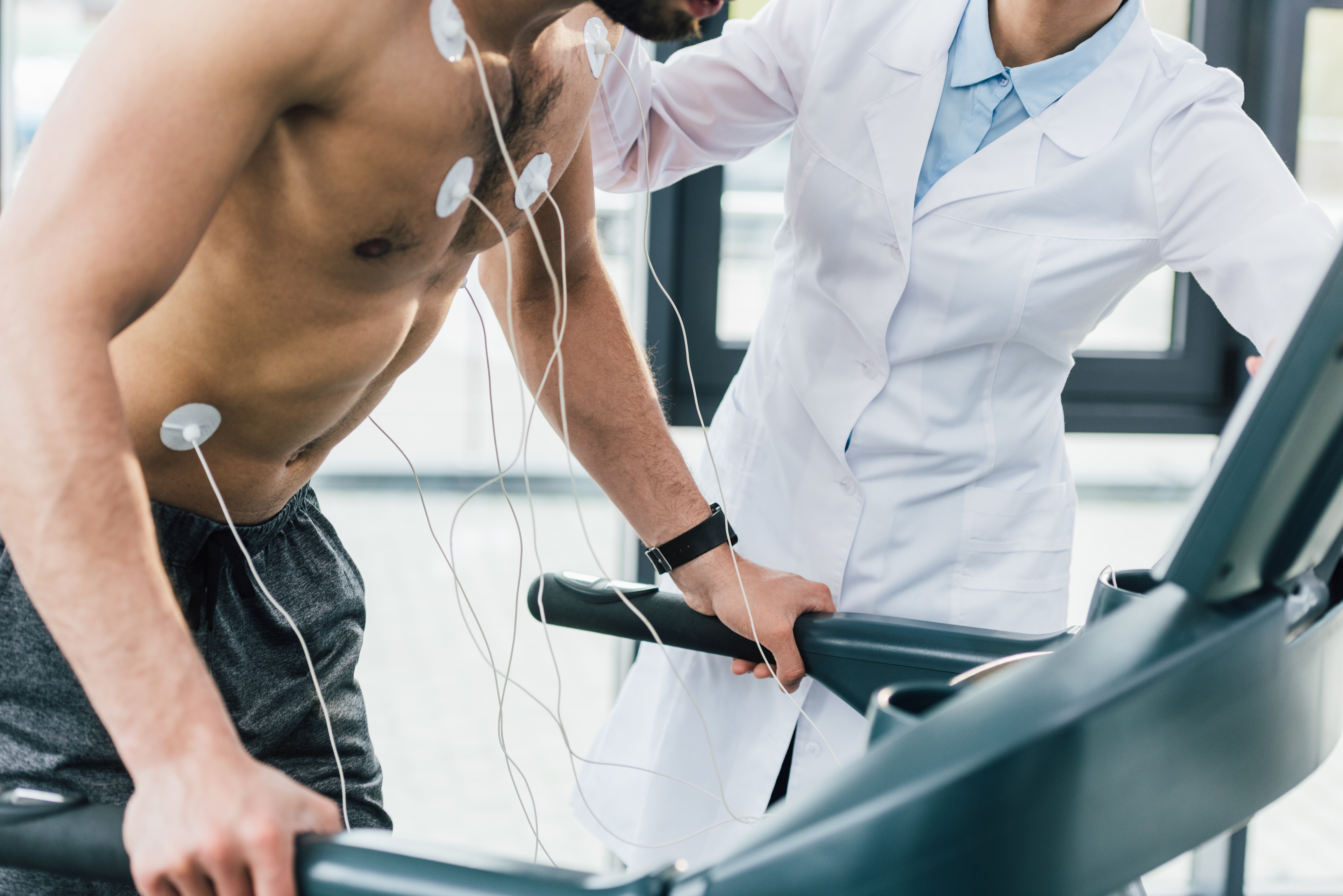 La présence de trabécules n'est pas toujours un signe de cardiomyopathie (Visuel Fotolia) La présence de trabécules n'est pas toujours un signe de cardiomyopathie (Visuel Fotolia)
