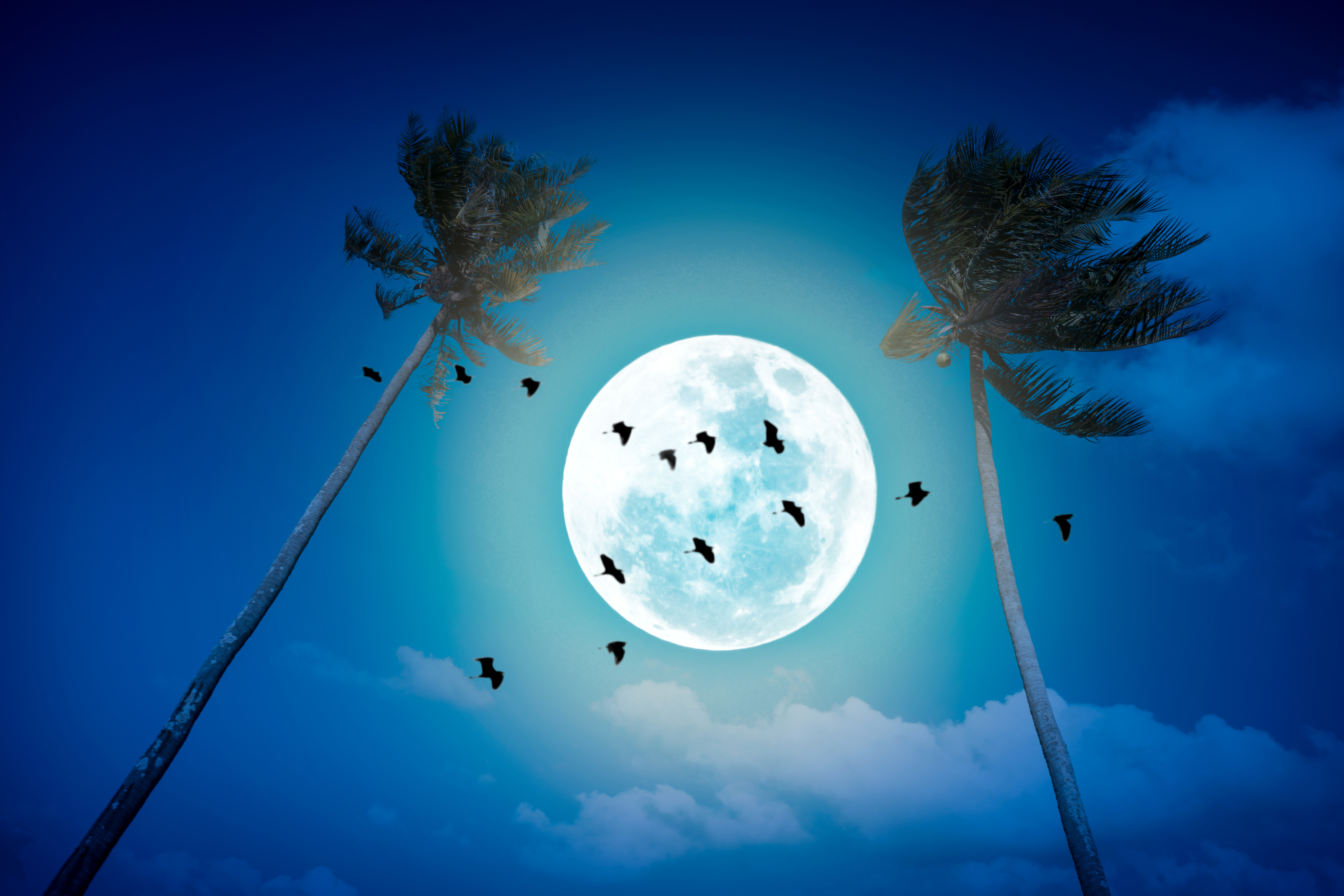 La relation présumée entre le crime et la pleine lune est bien...un mythe La relation présumée entre le crime et la pleine lune est bien...un mythe