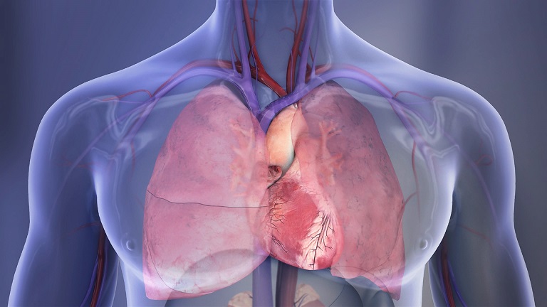 De meilleures habitudes de vie sont indispensables pour optimiser la gestion de la fibrillation auriculaire De meilleures habitudes de vie sont indispensables pour optimiser la gestion de la fibrillation auriculaire