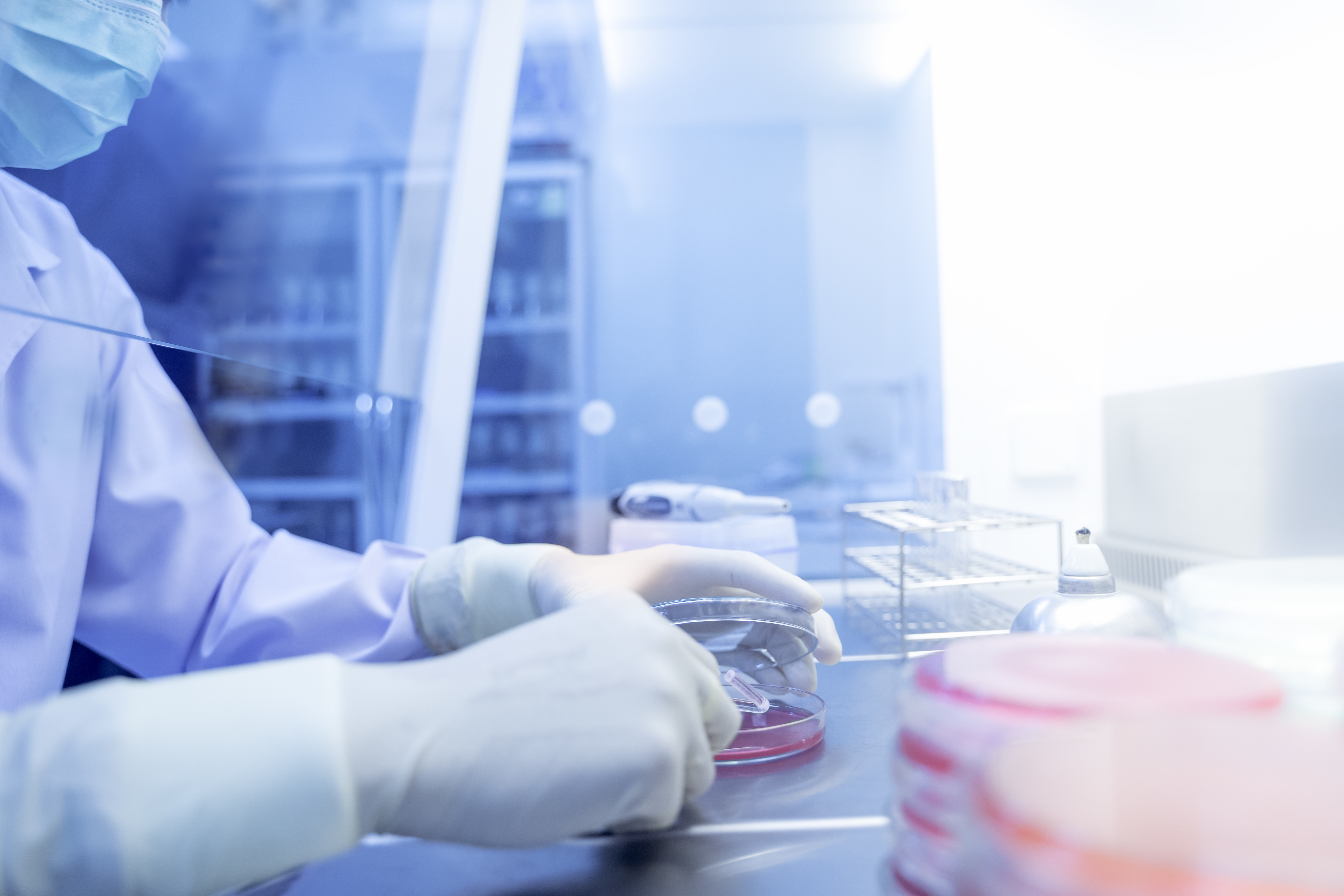 La pandémie de COVID-19 est la deuxième cause de mortalité par infection en Suède, en Suisse et en Espagne depuis 1918 (Visuel Adobe Stock 320678643) La pandémie de COVID-19 est la deuxième cause de mortalité par infection en Suède, en Suisse et en Espagne depuis 1918 (Visuel Adobe Stock 320678643)