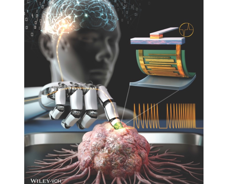 C'est un réseau neuronal artificiel tactile qui analyse et convertit rapidement et avec précision en données la rigidité d'une substance (Visuel Korea Institute of Science and Technology - KIST) 