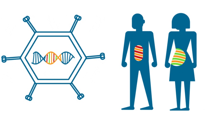 L'objectif de ces vaccins ou immunothérapies est d'aider le système immunitaire à cibler les cancers au tout début de leur développement (Visuel Nouscom)