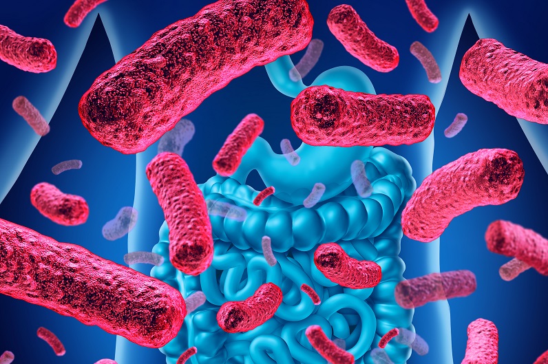 Des changements dans le mucus intestinal peuvent contribuer au déséquilibre bactérien et exacerber les symptômes fondamentaux de troubles cérébraux comme l'autisme, la maladie de Parkinson, la maladie d'Alzheimer et la sclérose en plaques (Visuel Fotolia) Des changements dans le mucus intestinal peuvent contribuer au déséquilibre bactérien et exacerber les symptômes fondamentaux de troubles cérébraux comme l'autisme, la maladie de Parkinson, la maladie d'Alzheimer et la sclérose en plaques (Visuel Fotolia)