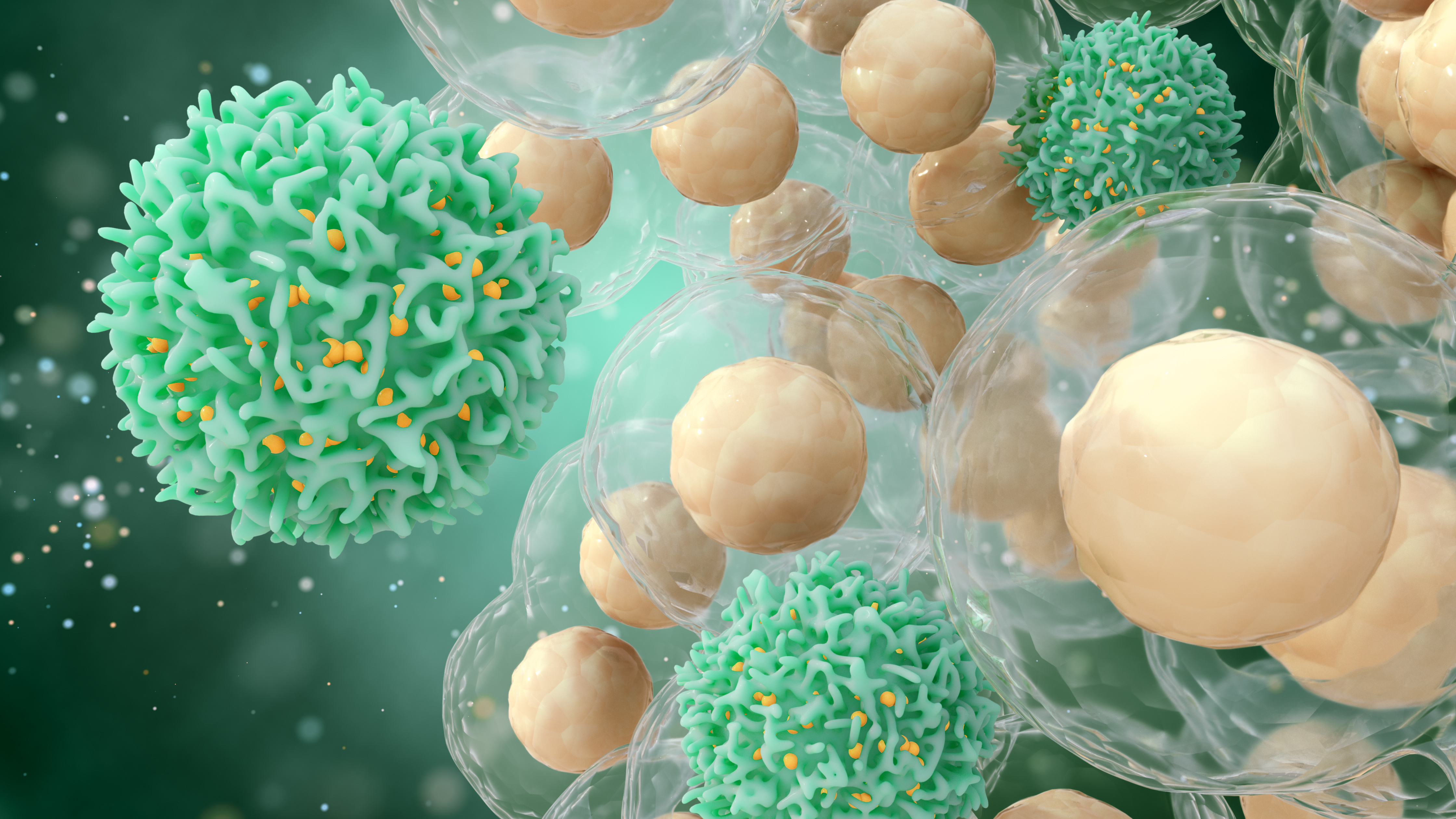 Une mutation génique rare élimine la totalité des cellules T MAIT (Visuel AdobeStock_279977730) Une mutation génique rare élimine la totalité des cellules T MAIT (Visuel AdobeStock_279977730)