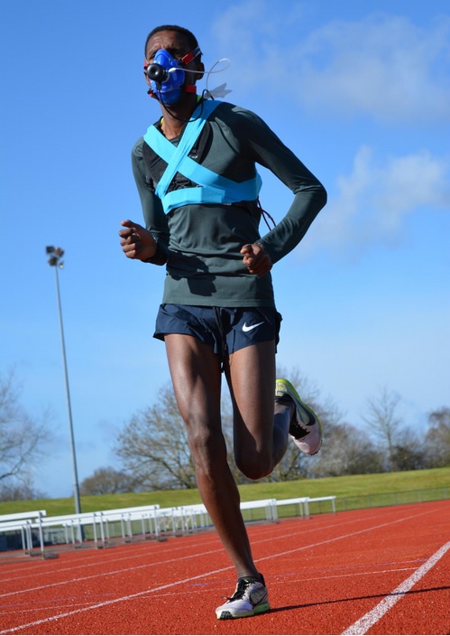 Une combinaison bien spécifique de capacités permet à ces athlètes de courir un marathon (>42 km) en moins de 2 heures (Visuel Université d'Exeter) Une combinaison bien spécifique de capacités permet à ces athlètes de courir un marathon (>42 km) en moins de 2 heures (Visuel Université d'Exeter)