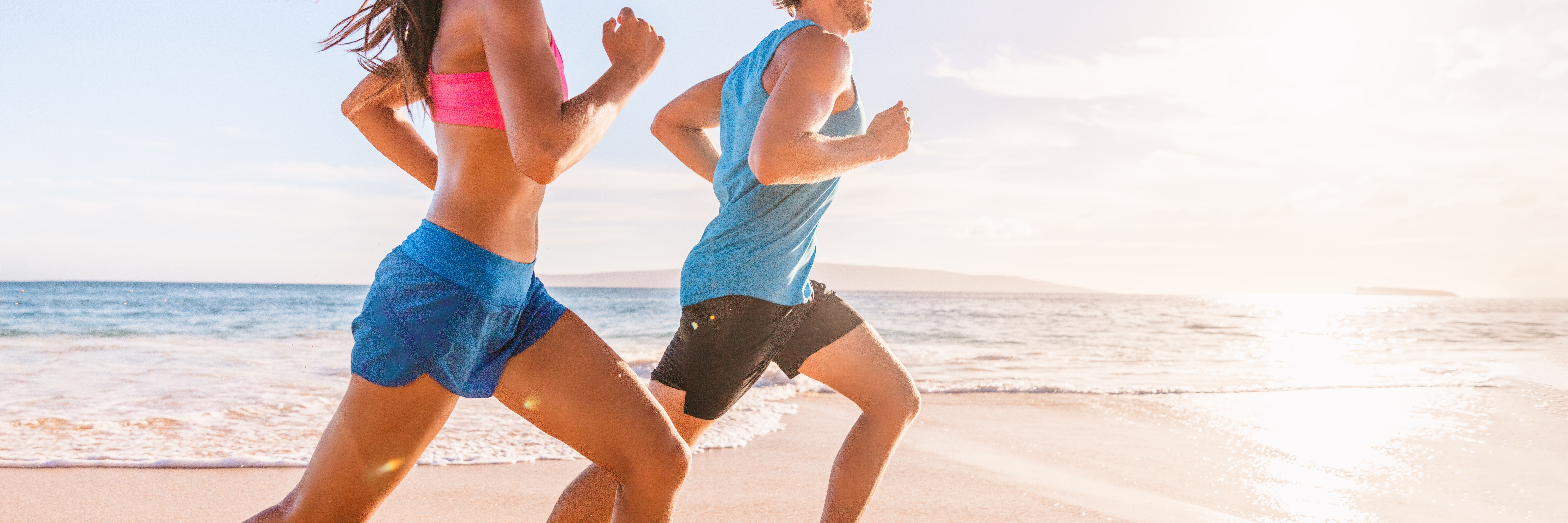L’Ubiquitine, une nouvelle cible pour booster la fonction musculaire ? (Visuel AdobeStock_303499028) L’Ubiquitine, une nouvelle cible pour booster la fonction musculaire ? (Visuel AdobeStock_303499028)