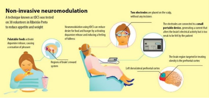 La technique fait partie des nouvelles approches testées pour traiter l'obésité, les premiers tests effectués semblant suggérer son efficacité à réduire l'appétit, la consommation de nourriture et le poids, mais seulement chez certains sujets. 