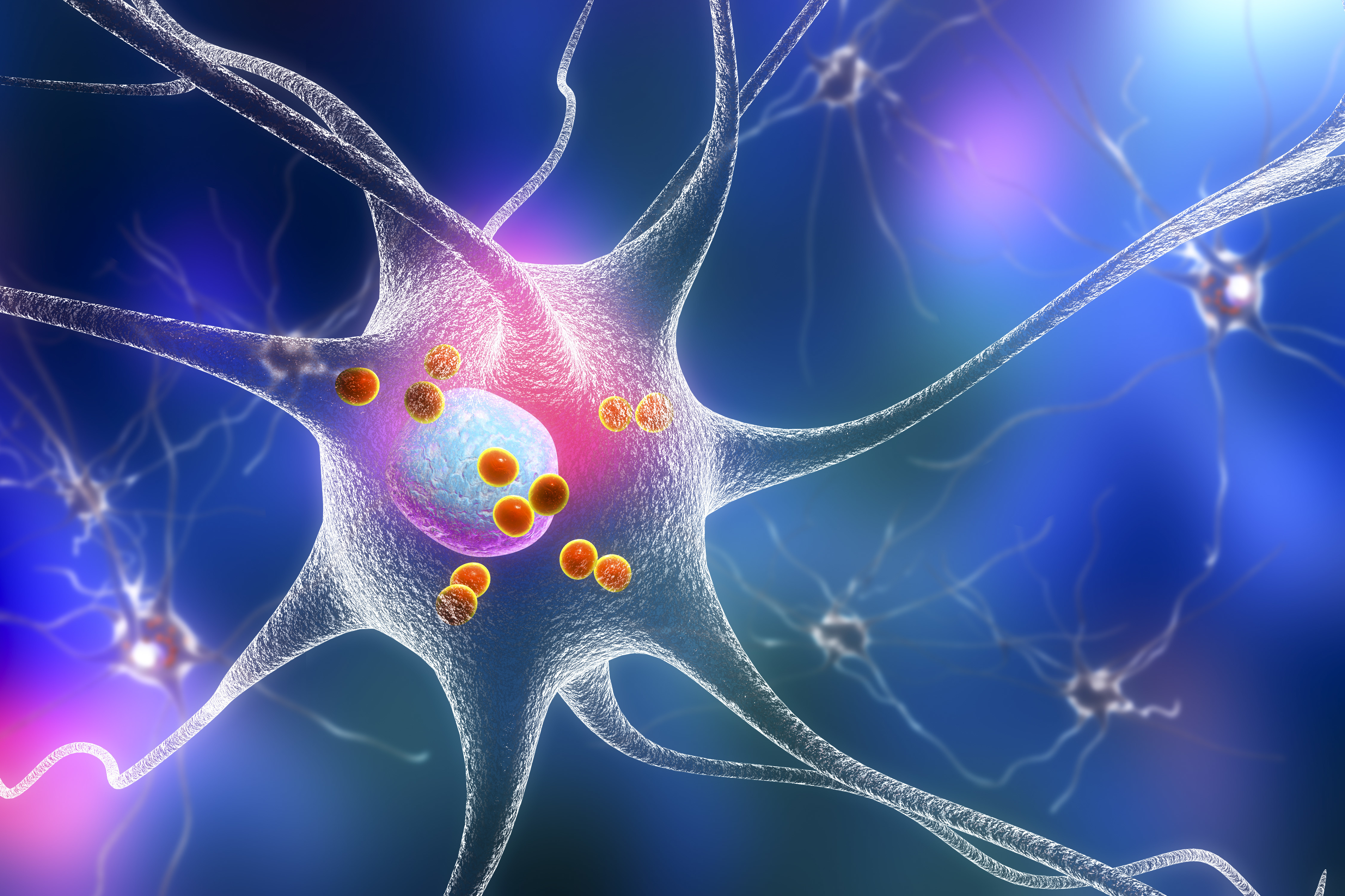 Un nouvel « outil » précieux pour étudier le développement des cellules souches neurales (NSC) et plus largement la neurogenèse et son pendant pathologique, la neurodégénérescence (Visuel Adobe Stock 179073088)