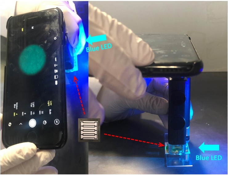 Cette nouvelle méthode d'identification par smartphone permet de détecter des quantités infimes de norovirus dans l'eau. Cette nouvelle méthode d'identification par smartphone permet de détecter des quantités infimes de norovirus dans l'eau.